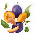 Fruits for a healthier you