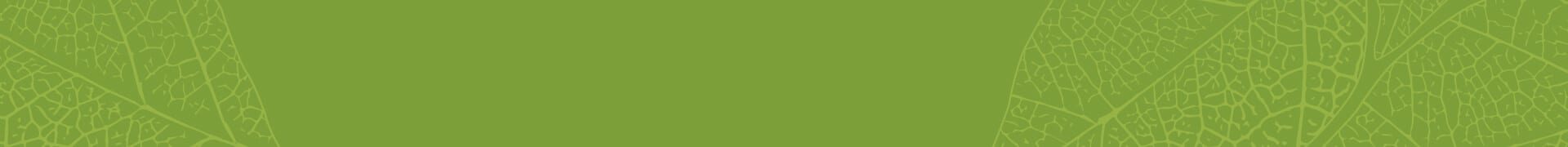 bg_green_01