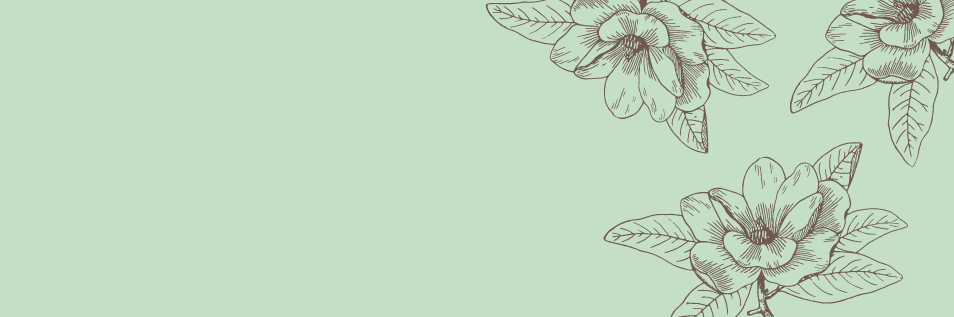 Recipes And More (2)